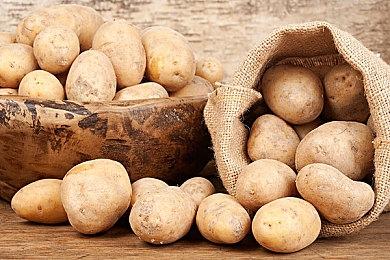 预热新作 《宇宙机器人无线控制器使用指南》添加四个新机器人